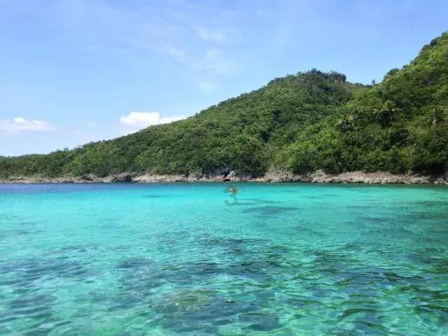 历史上有哪些军事行动发生在巴山——高效的知识问答网页